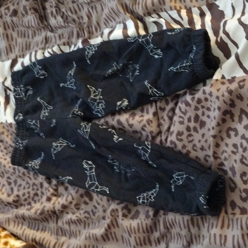 Dinosaur sweat pants comfy&cute only 2 dinosaurs are same faded worn & washed